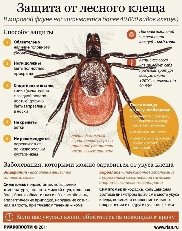 Осторожно клещи!.